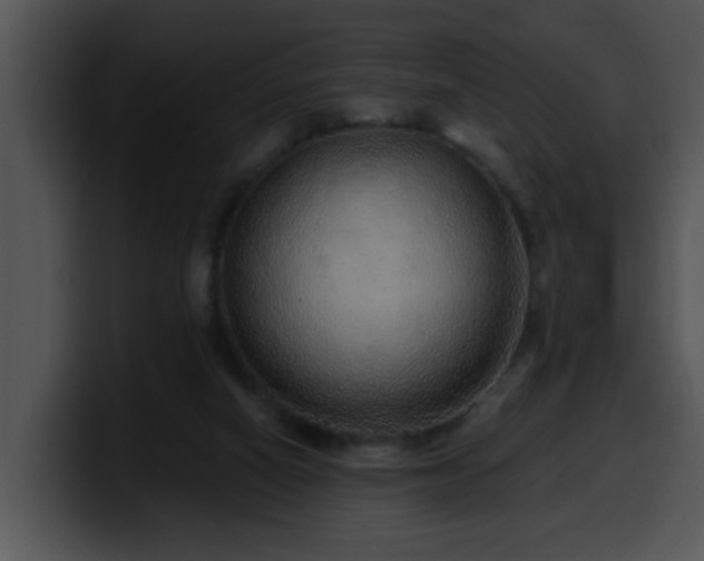 X0000100390066200806061303