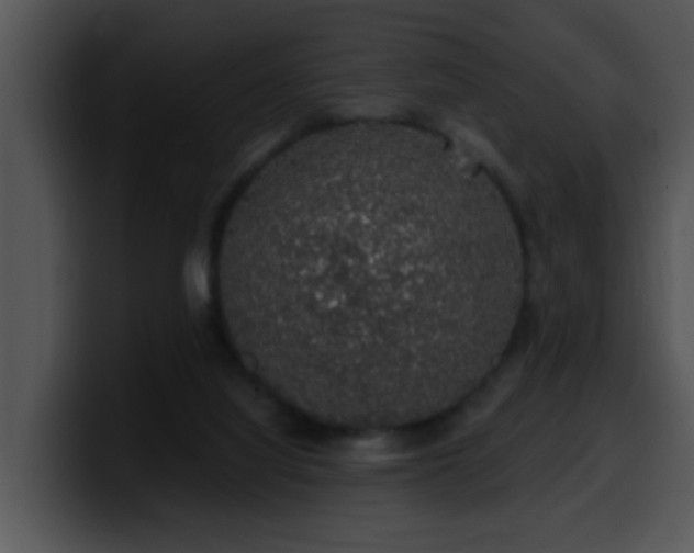 X0000100390068200806061303