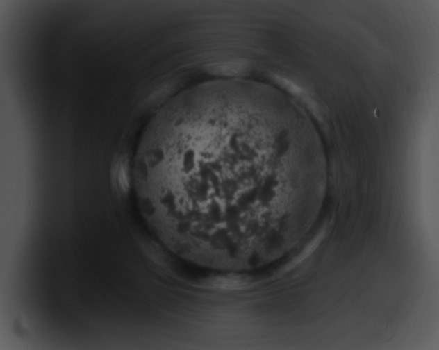 X0000100390069200806061303