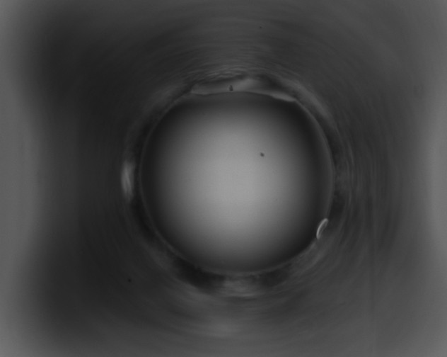 X0000100390070200806061303