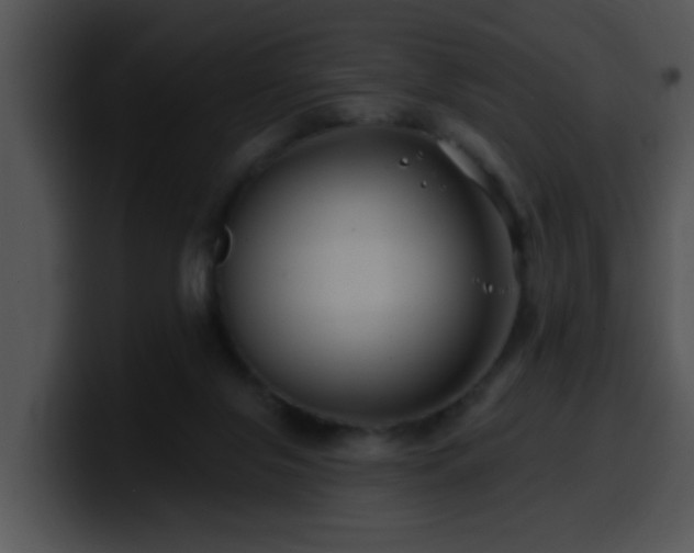 X0000100390071200806061303