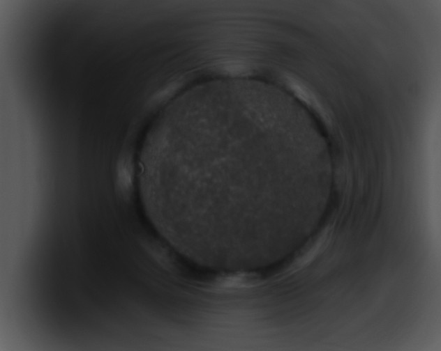 X0000100390072200806061303