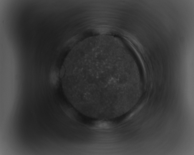 X0000100390073200806061303