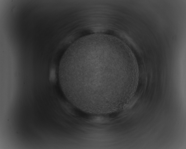 X0000100390074200806061303