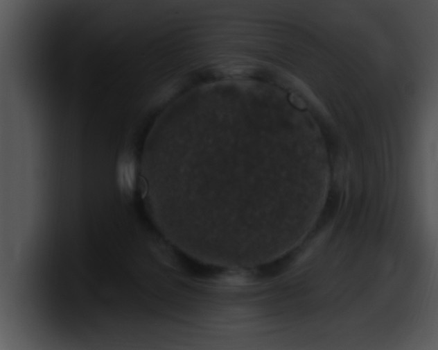 X0000100390076200806061303