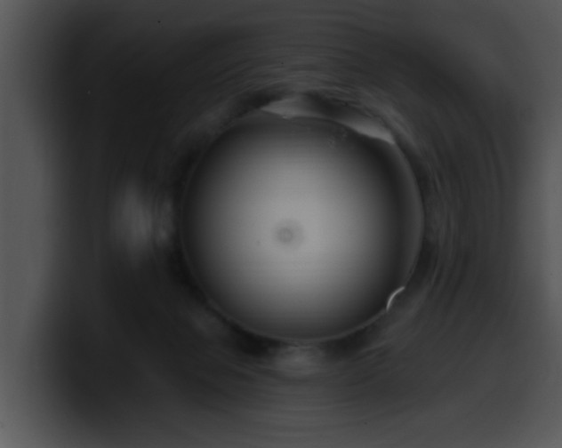 X0000100390077200806061303