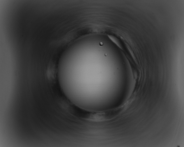 X0000100390078200806061303