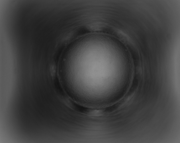 X0000100390081200806061303