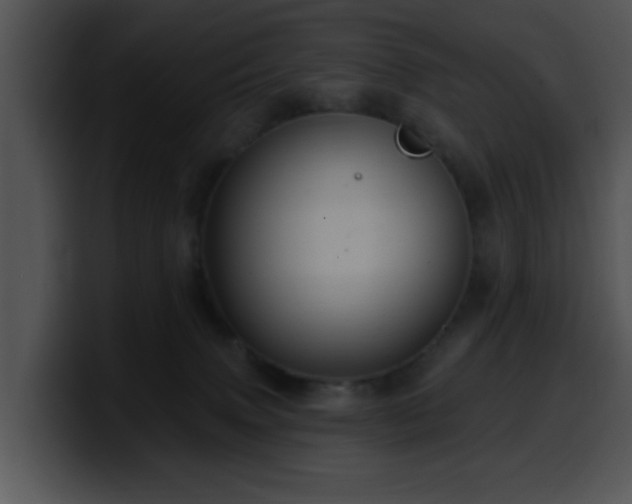 X0000100390083200806061303