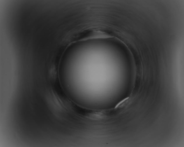 X0000100390086200806061303