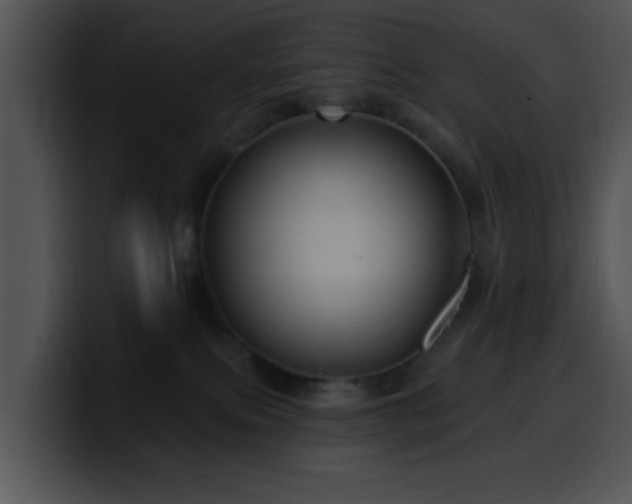 X0000100390087200806061303