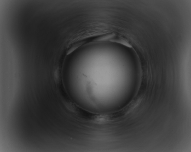 X0000100390088200806061303