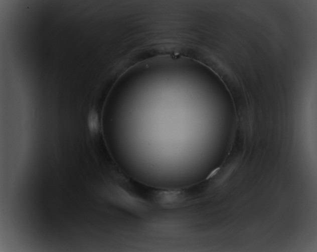 X0000100390089200806061303