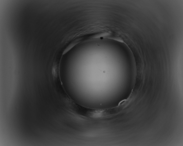 X0000100390090200806061303