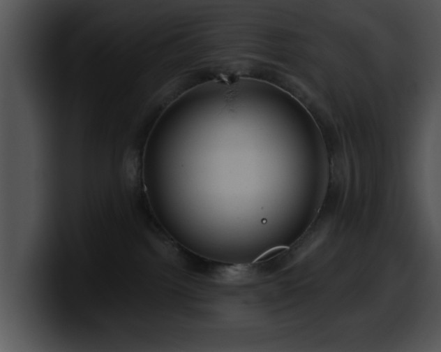 X0000100390092200806061303