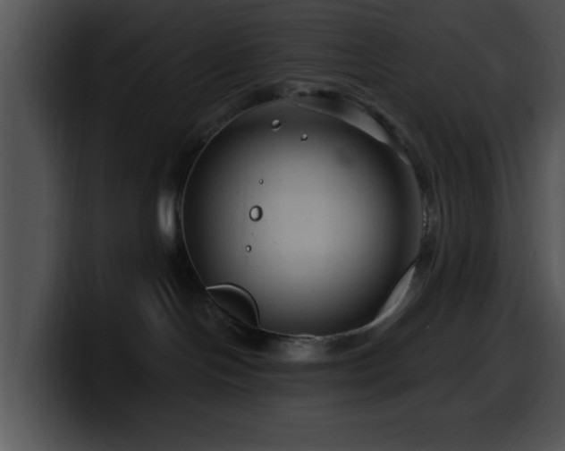 X0000100390094200806061304