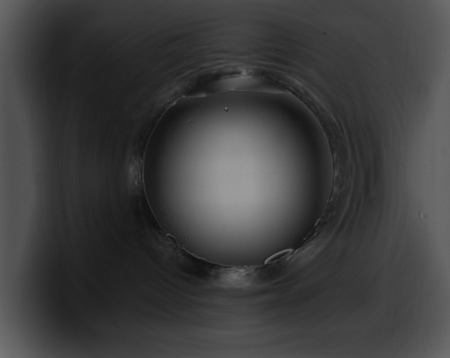 X0000100390096200806061304