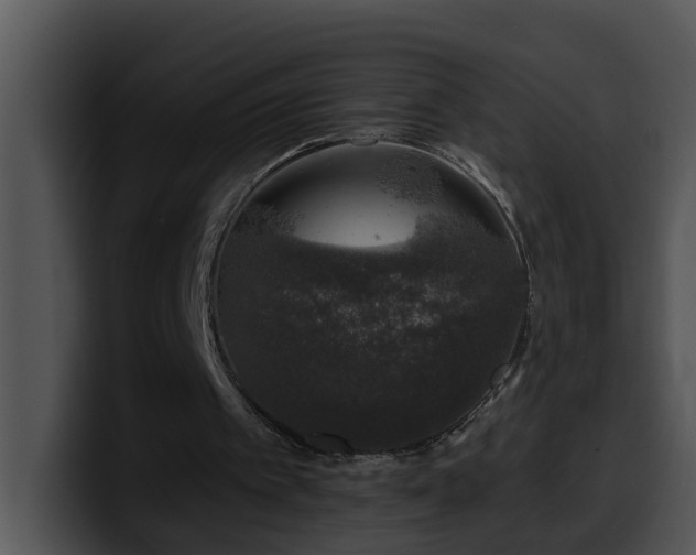 X0000100390097200806061303