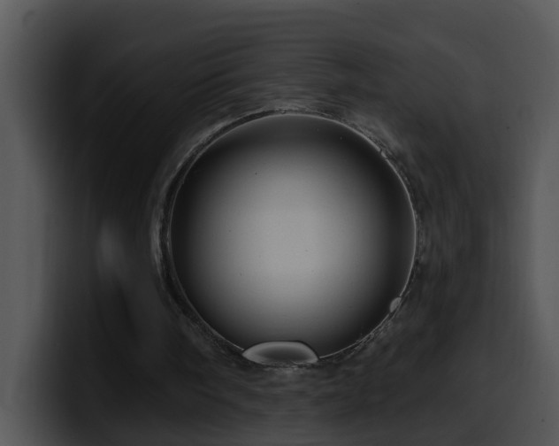 X0000100390098200806061303