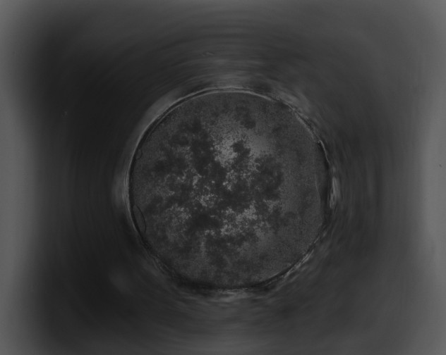 X0000100390099200806061303