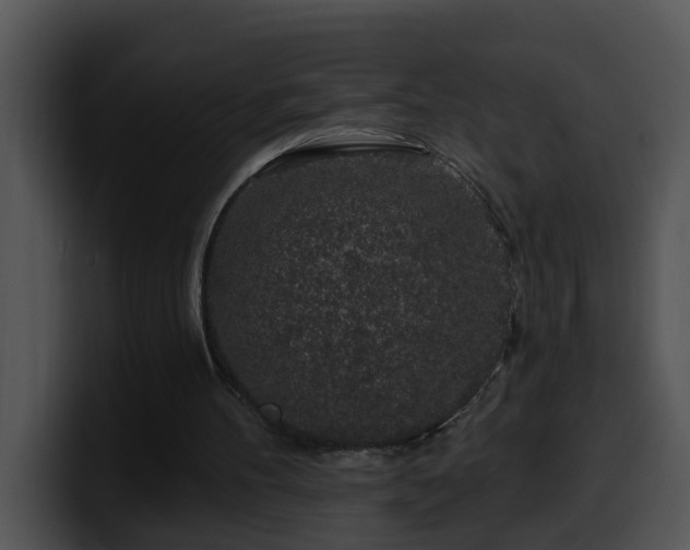 X0000100390100200806061303