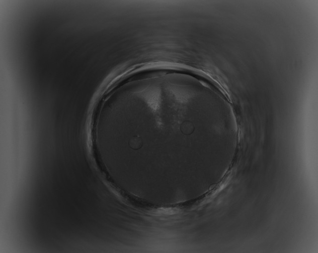 X0000100390101200806061303