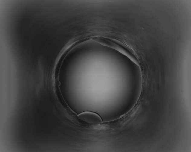 X0000100390102200806061303