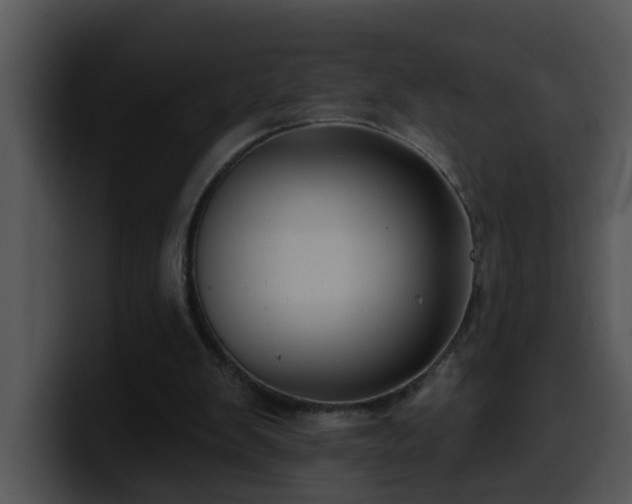 X0000100390103200806061303