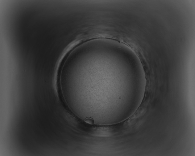 X0000100390104200806061303