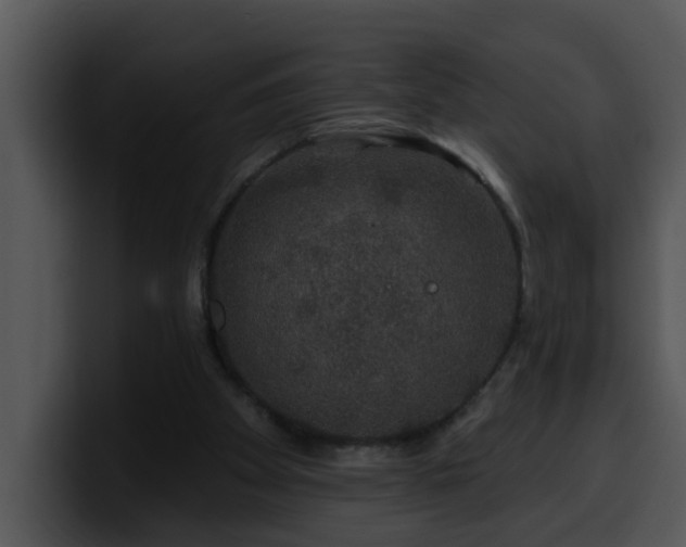 X0000100390105200806061303