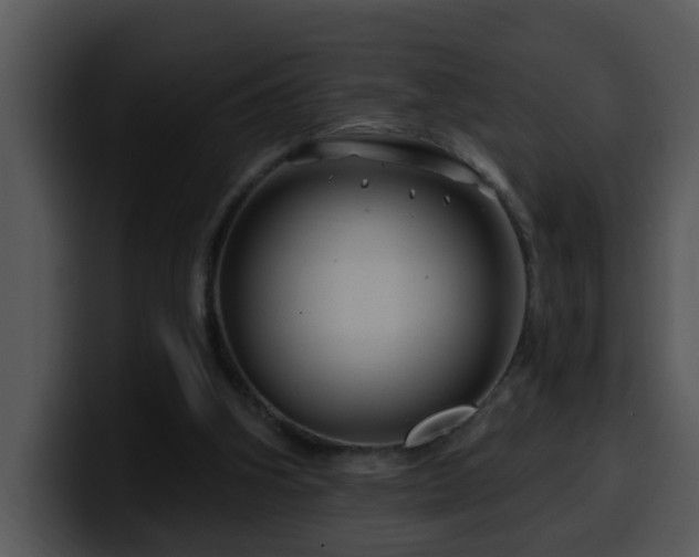 X0000100390106200806061303