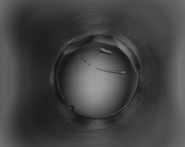 X0000100390107200806061303