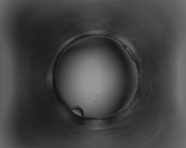 X0000100390108200806061303