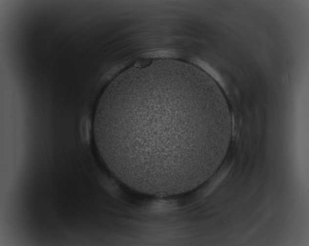 X0000100390109200806061303