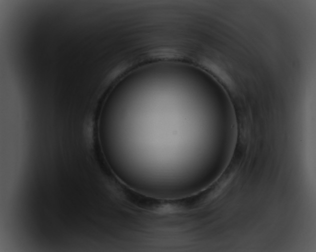 X0000100390111200806061303