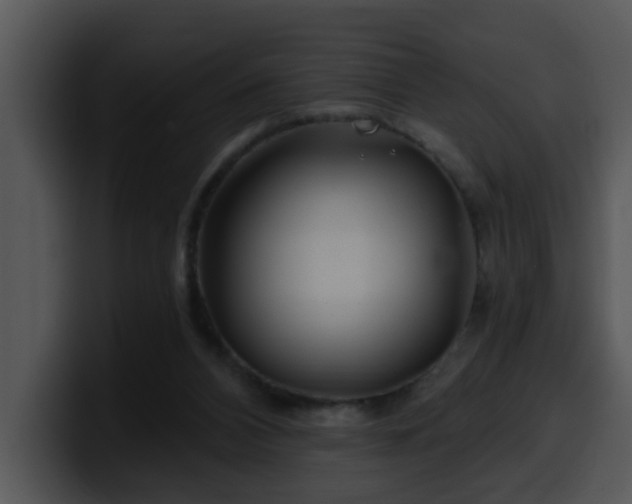 X0000100390112200806061303