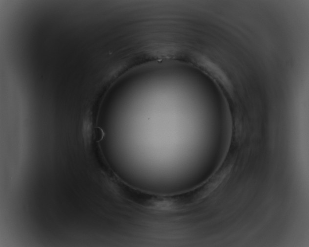 X0000100390113200806061303