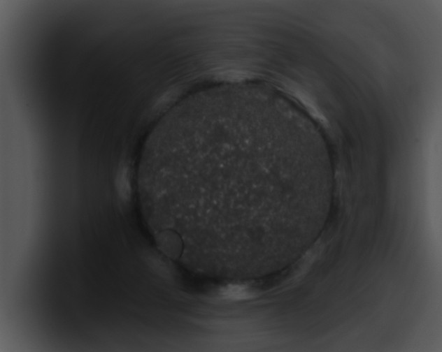 X0000100390114200806061303