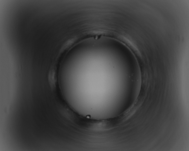 X0000100390116200806061303