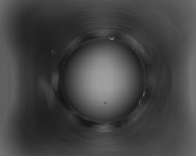 X0000100390118200806061303