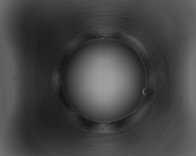 X0000100390121200806061303