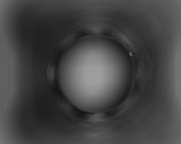 X0000100390122200806061303