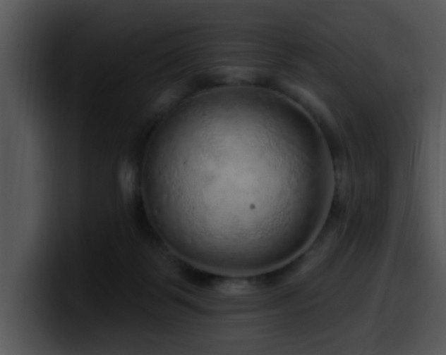 X0000100390123200806061303