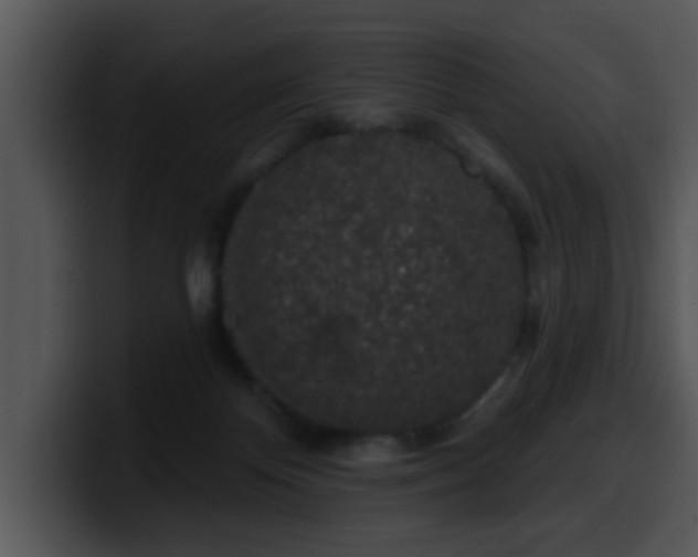 X0000100390124200806061302