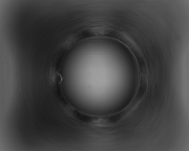 X0000100390125200806061302