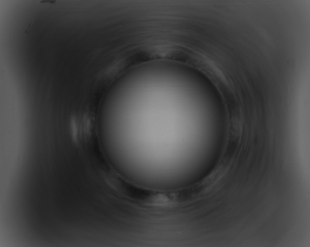 X0000100390126200806061302