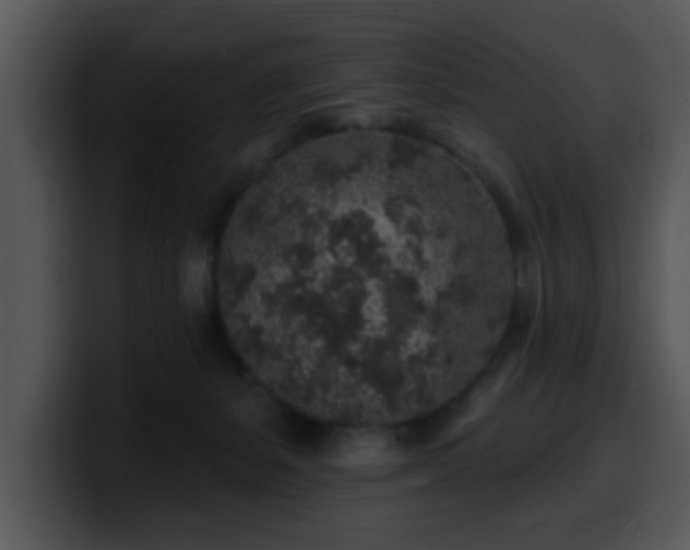X0000100390127200806061302