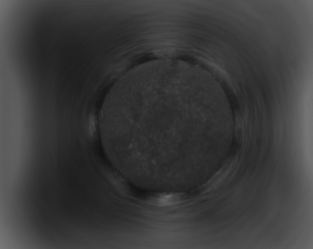 X0000100390130200806061302