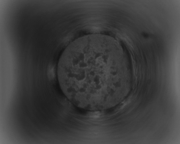 X0000100390131200806061302