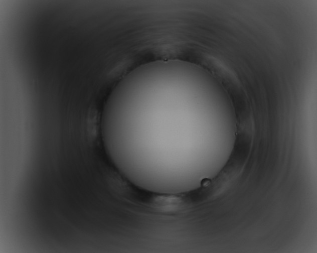 X0000100390133200806061302